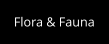 Flora & Fauna