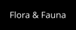 Flora & Fauna